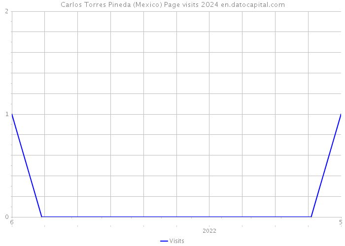Carlos Torres Pineda (Mexico) Page visits 2024 