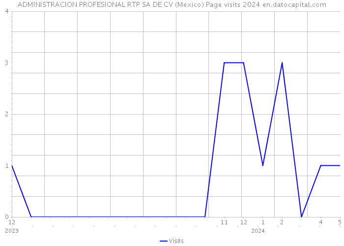 ADMINISTRACION PROFESIONAL RTP SA DE CV (Mexico) Page visits 2024 