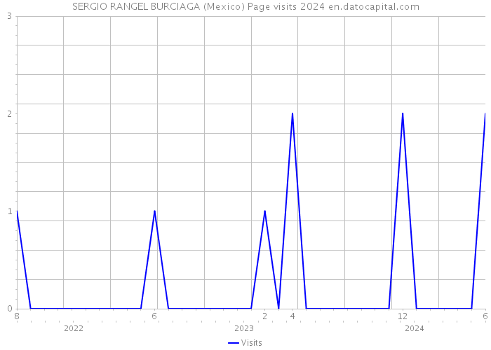 SERGIO RANGEL BURCIAGA (Mexico) Page visits 2024 