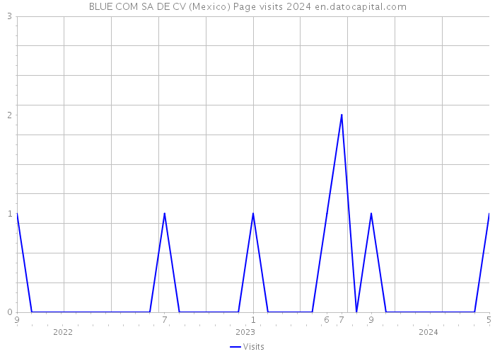 BLUE COM SA DE CV (Mexico) Page visits 2024 
