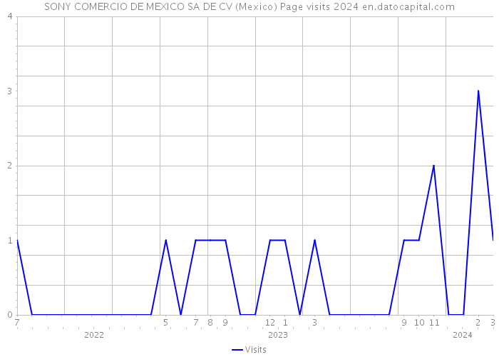 SONY COMERCIO DE MEXICO SA DE CV (Mexico) Page visits 2024 