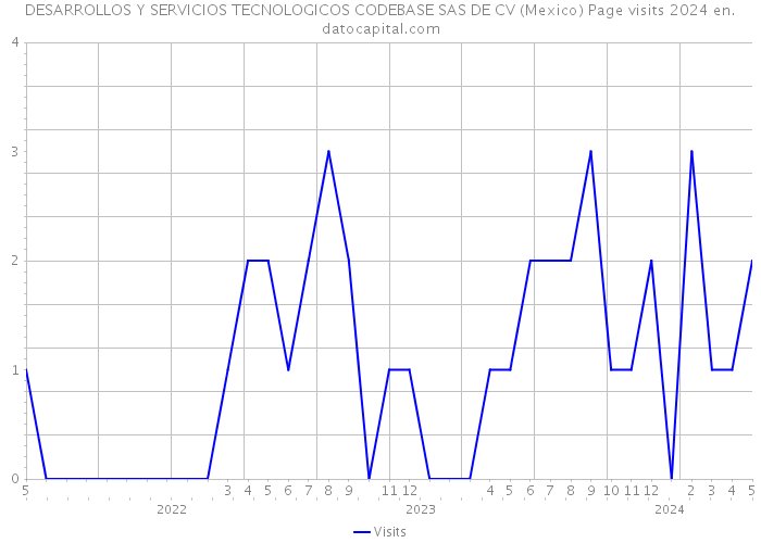 DESARROLLOS Y SERVICIOS TECNOLOGICOS CODEBASE SAS DE CV (Mexico) Page visits 2024 