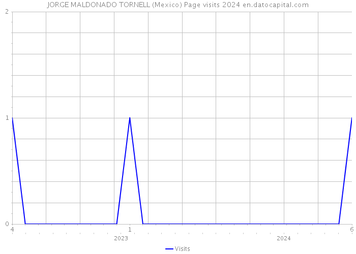 JORGE MALDONADO TORNELL (Mexico) Page visits 2024 