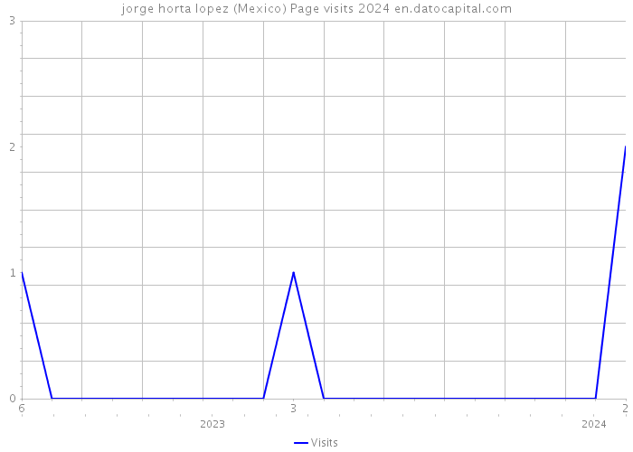 jorge horta lopez (Mexico) Page visits 2024 