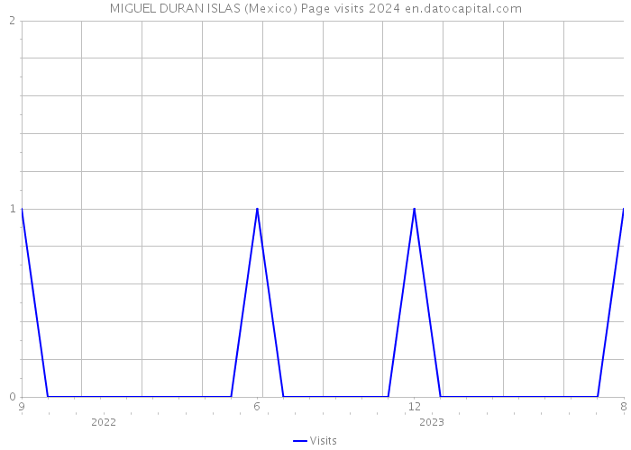 MIGUEL DURAN ISLAS (Mexico) Page visits 2024 
