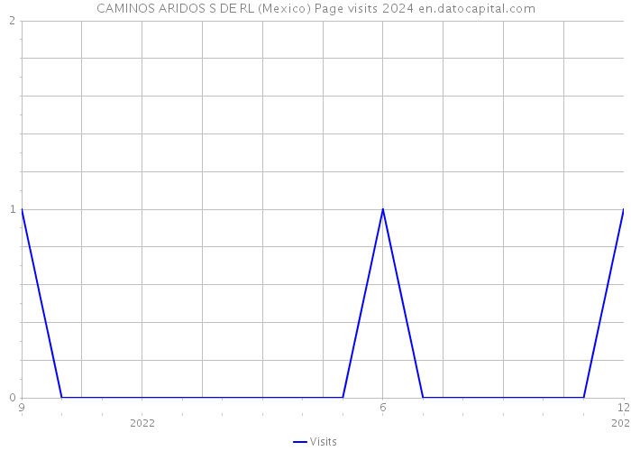 CAMINOS ARIDOS S DE RL (Mexico) Page visits 2024 