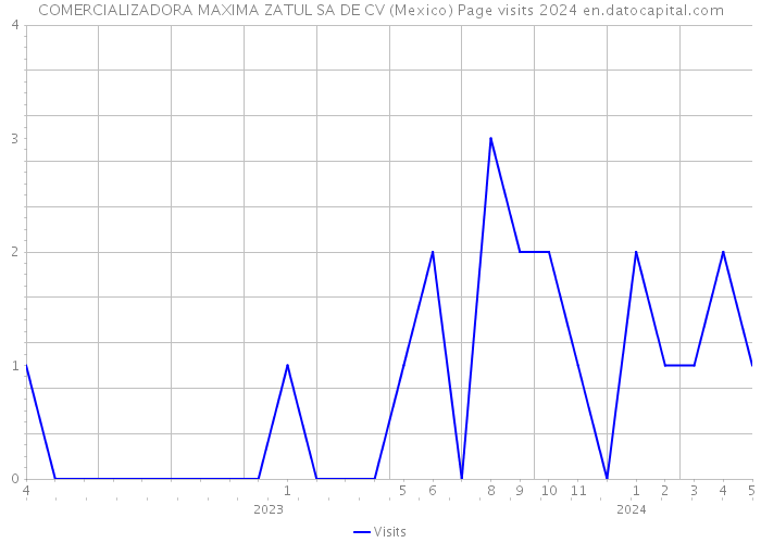 COMERCIALIZADORA MAXIMA ZATUL SA DE CV (Mexico) Page visits 2024 