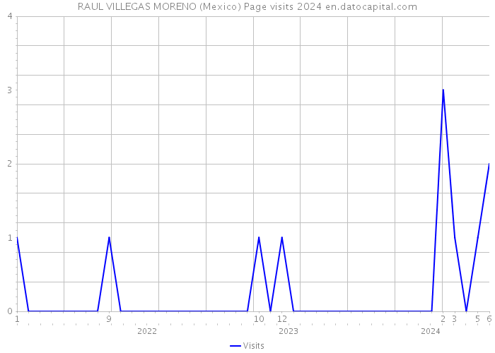 RAUL VILLEGAS MORENO (Mexico) Page visits 2024 