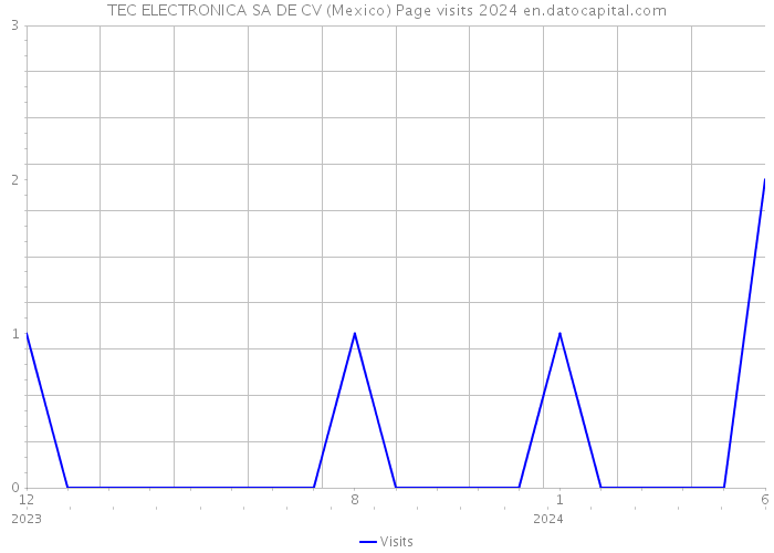 TEC ELECTRONICA SA DE CV (Mexico) Page visits 2024 