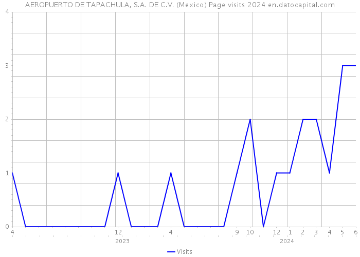 AEROPUERTO DE TAPACHULA, S.A. DE C.V. (Mexico) Page visits 2024 