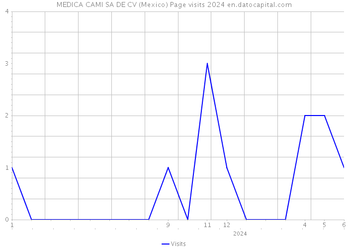 MEDICA CAMI SA DE CV (Mexico) Page visits 2024 