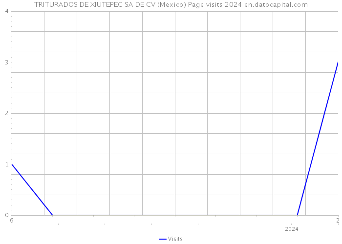 TRITURADOS DE XIUTEPEC SA DE CV (Mexico) Page visits 2024 