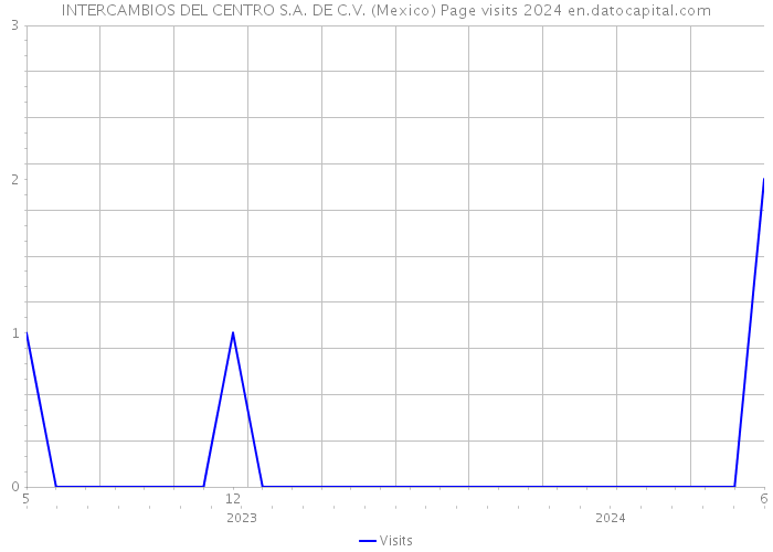 INTERCAMBIOS DEL CENTRO S.A. DE C.V. (Mexico) Page visits 2024 