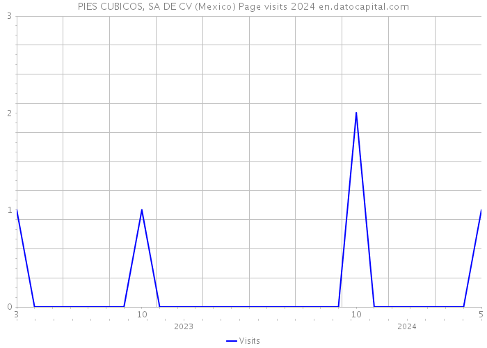 PIES CUBICOS, SA DE CV (Mexico) Page visits 2024 