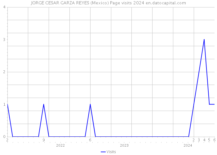 JORGE CESAR GARZA REYES (Mexico) Page visits 2024 