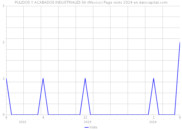 PULIDOS Y ACABADOS INDUSTRIALES SA (Mexico) Page visits 2024 