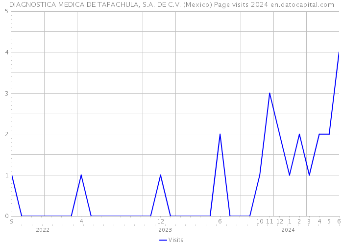 DIAGNOSTICA MEDICA DE TAPACHULA, S.A. DE C.V. (Mexico) Page visits 2024 