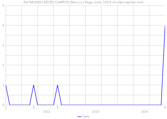 RAYMUNDO REYES CAMPOS (Mexico) Page visits 2024 