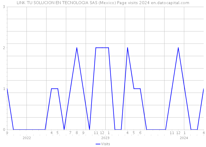 LINK TU SOLUCION EN TECNOLOGIA SAS (Mexico) Page visits 2024 