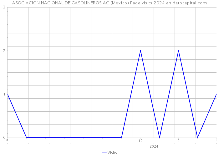 ASOCIACION NACIONAL DE GASOLINEROS AC (Mexico) Page visits 2024 