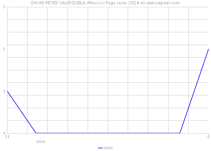 DAVID REYES VALENZUELA (Mexico) Page visits 2024 