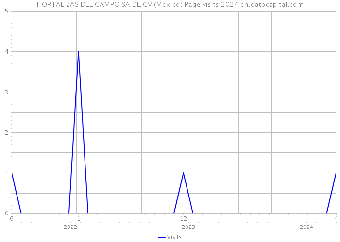 HORTALIZAS DEL CAMPO SA DE CV (Mexico) Page visits 2024 