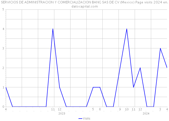 SERVICIOS DE ADMINISTRACION Y COMERCIALIZACION BANG SAS DE CV (Mexico) Page visits 2024 