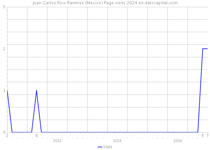 Juan Carlos Rico Ramírez (Mexico) Page visits 2024 