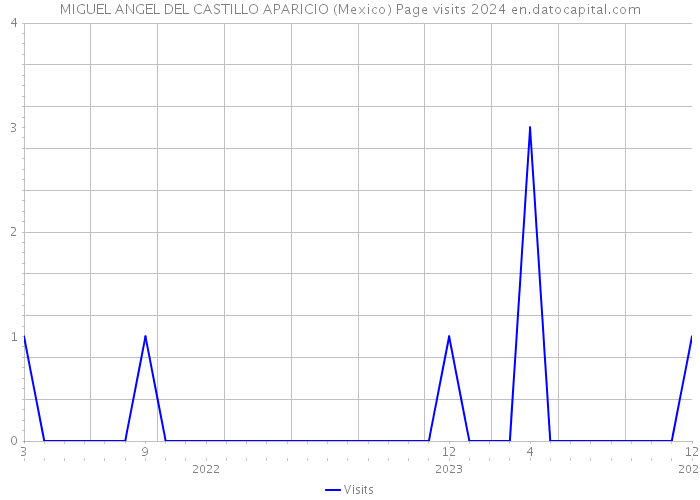 MIGUEL ANGEL DEL CASTILLO APARICIO (Mexico) Page visits 2024 