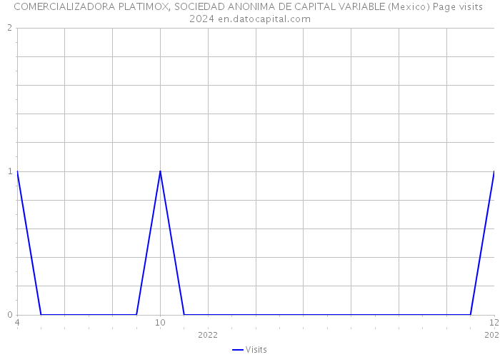COMERCIALIZADORA PLATIMOX, SOCIEDAD ANONIMA DE CAPITAL VARIABLE (Mexico) Page visits 2024 