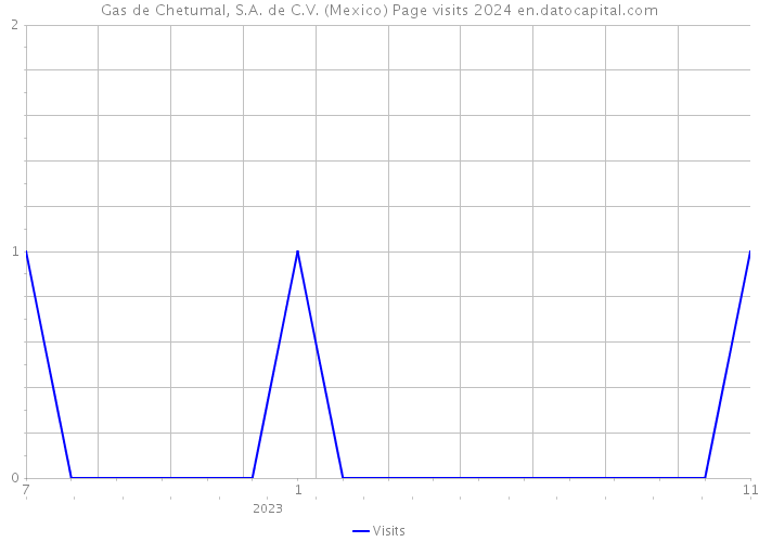 Gas de Chetumal, S.A. de C.V. (Mexico) Page visits 2024 