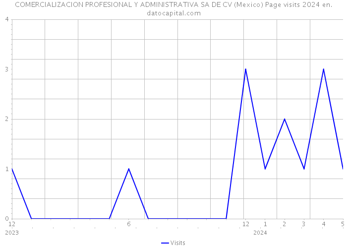 COMERCIALIZACION PROFESIONAL Y ADMINISTRATIVA SA DE CV (Mexico) Page visits 2024 