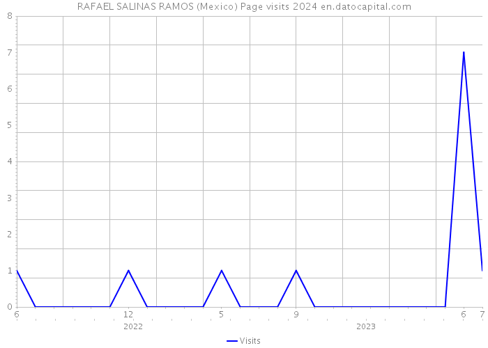 RAFAEL SALINAS RAMOS (Mexico) Page visits 2024 