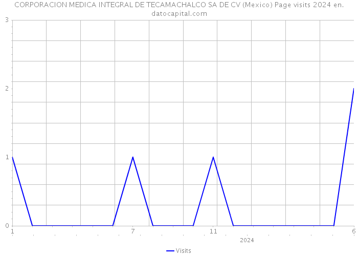 CORPORACION MEDICA INTEGRAL DE TECAMACHALCO SA DE CV (Mexico) Page visits 2024 