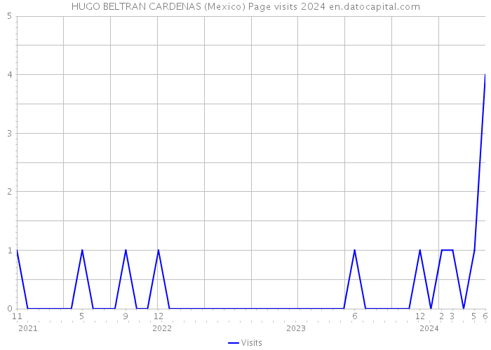 HUGO BELTRAN CARDENAS (Mexico) Page visits 2024 