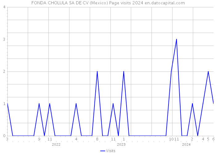 FONDA CHOLULA SA DE CV (Mexico) Page visits 2024 