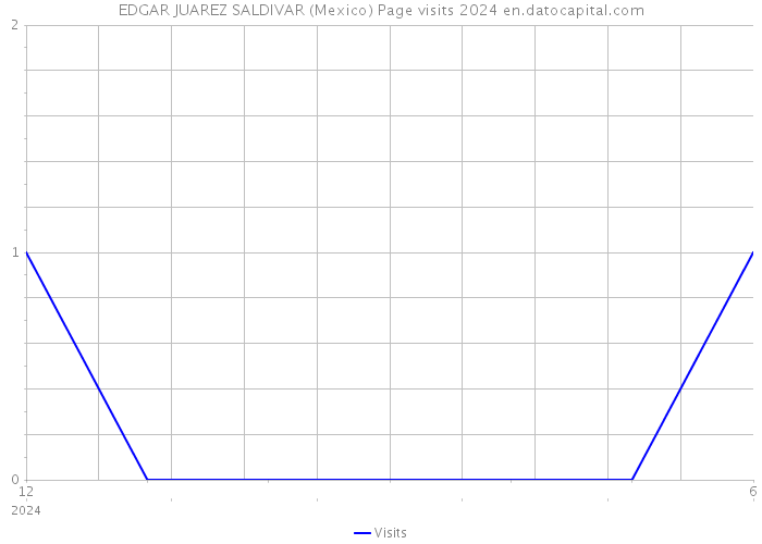 EDGAR JUAREZ SALDIVAR (Mexico) Page visits 2024 