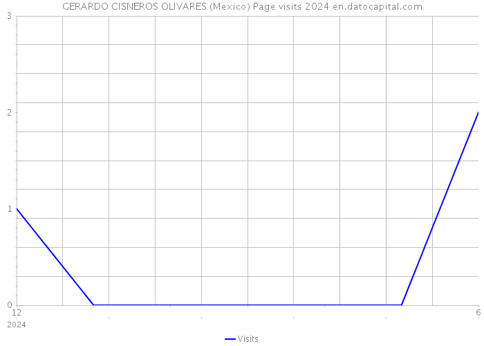GERARDO CISNEROS OLIVARES (Mexico) Page visits 2024 