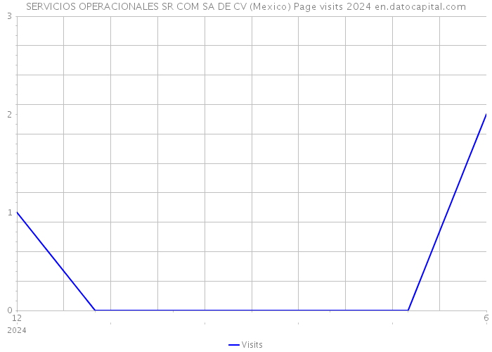 SERVICIOS OPERACIONALES SR COM SA DE CV (Mexico) Page visits 2024 