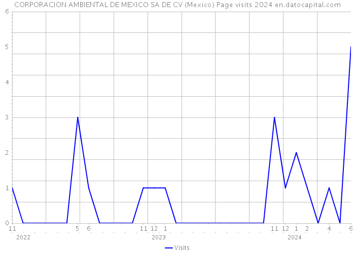 CORPORACION AMBIENTAL DE MEXICO SA DE CV (Mexico) Page visits 2024 
