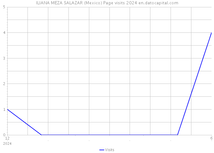 ILIANA MEZA SALAZAR (Mexico) Page visits 2024 