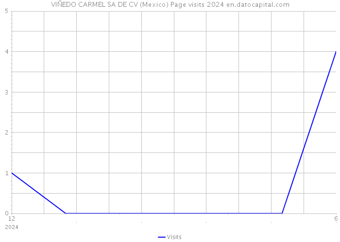 VIÑEDO CARMEL SA DE CV (Mexico) Page visits 2024 