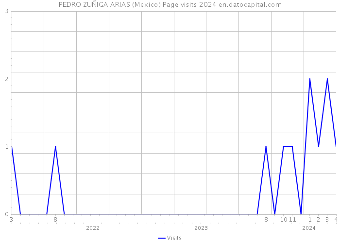 PEDRO ZUÑIGA ARIAS (Mexico) Page visits 2024 