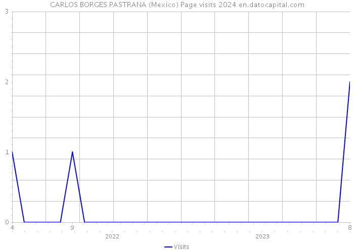 CARLOS BORGES PASTRANA (Mexico) Page visits 2024 