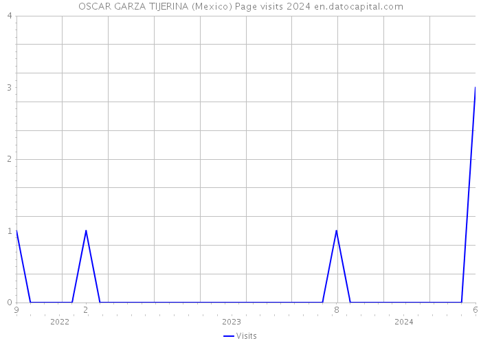 OSCAR GARZA TIJERINA (Mexico) Page visits 2024 
