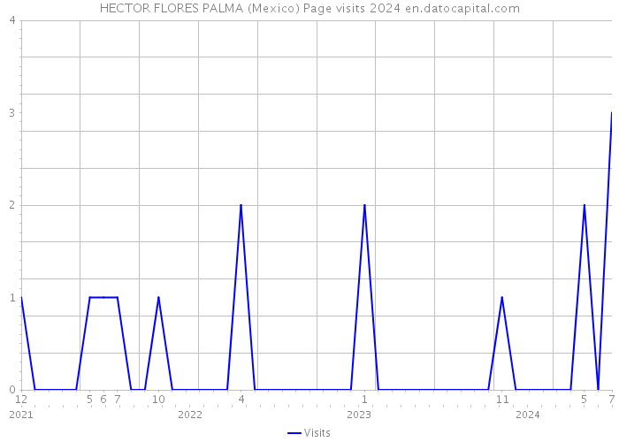 HECTOR FLORES PALMA (Mexico) Page visits 2024 