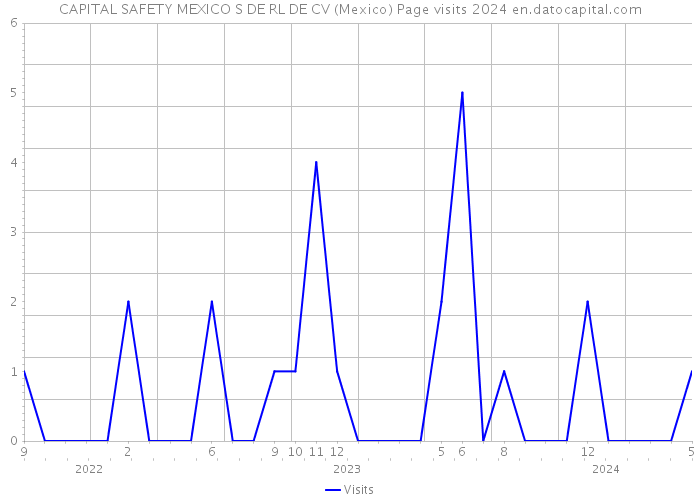 CAPITAL SAFETY MEXICO S DE RL DE CV (Mexico) Page visits 2024 