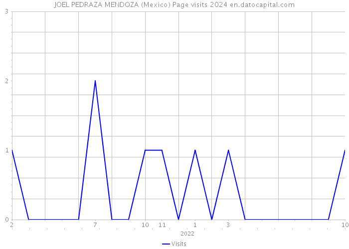 JOEL PEDRAZA MENDOZA (Mexico) Page visits 2024 
