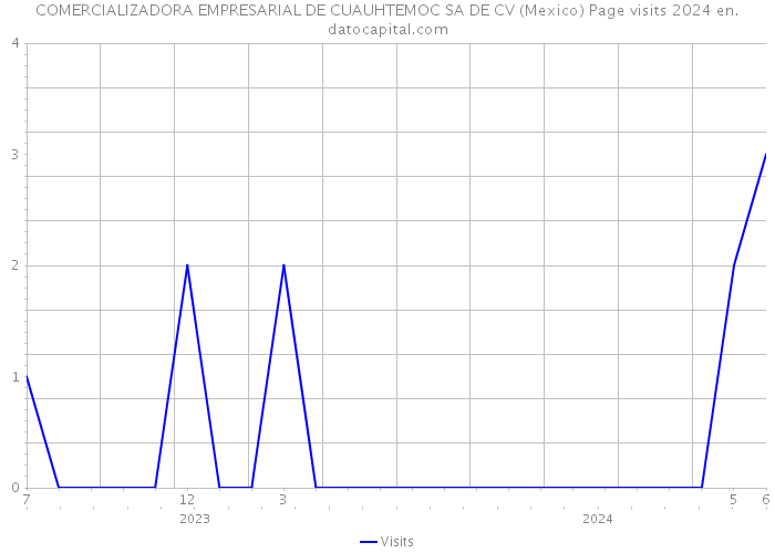 COMERCIALIZADORA EMPRESARIAL DE CUAUHTEMOC SA DE CV (Mexico) Page visits 2024 