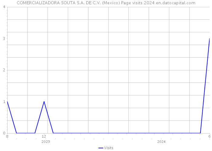 COMERCIALIZADORA SOUTA S.A. DE C.V. (Mexico) Page visits 2024 